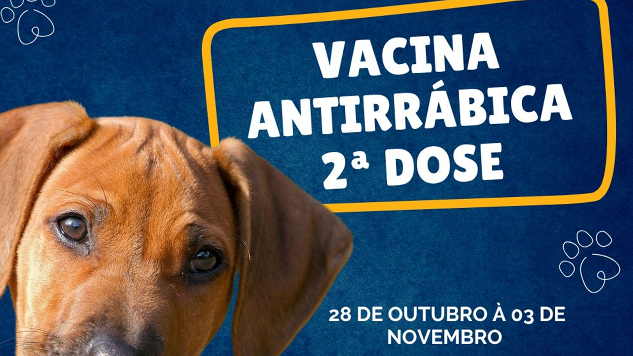 Campanha de Vacinação Antirrábica 2ª Dose. Confira os pontos de vacinação