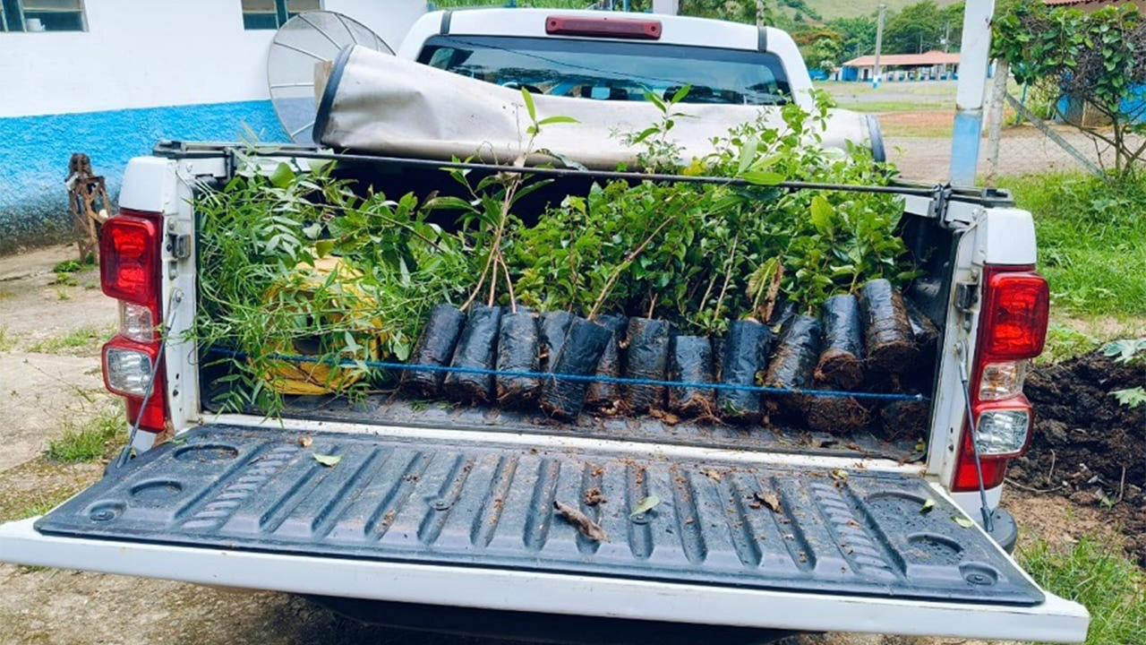 Doação de mudas frutíferas e de sementes de hortaliças