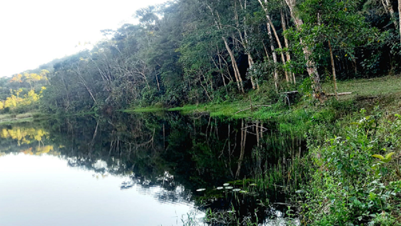 Passeio Ecológico guiado pelas belezas do Parque da Lagoa comemora Dia da Árvore