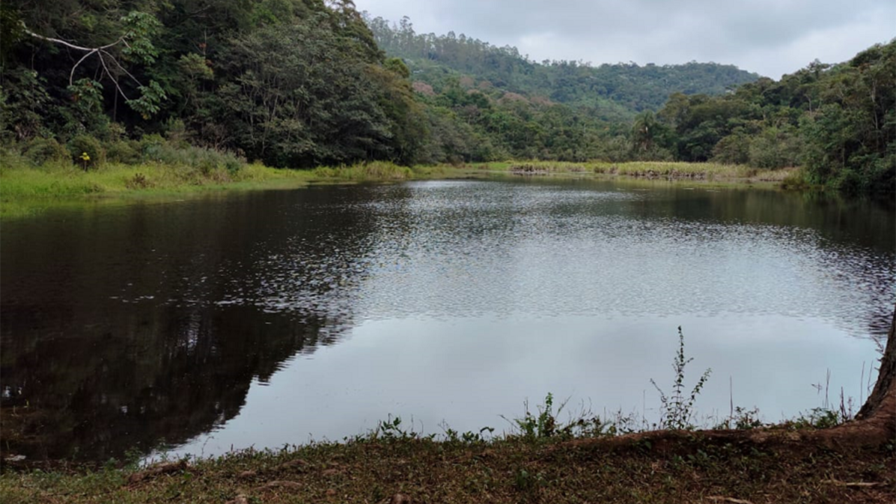 Lagoa