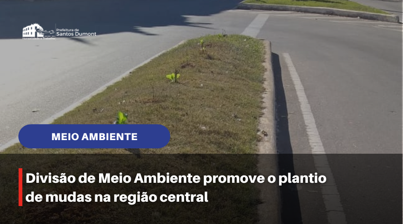 Divisão de Meio Ambiente promove o plantio de árvores na região central