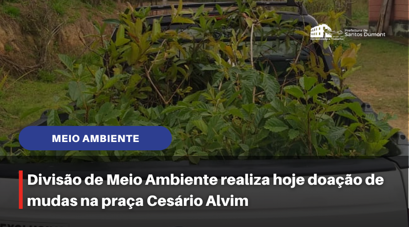 Meio Ambiente distribui mudas na praça Cesário Alvim