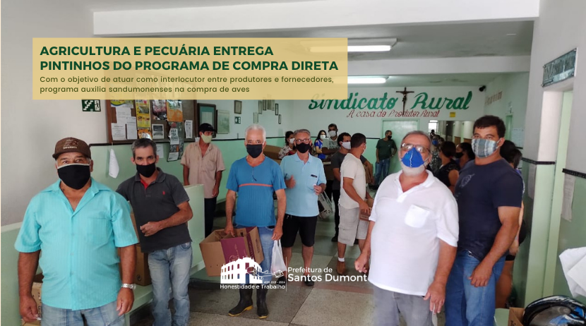 Agricultura realiza programa de compra direta de pintainhos