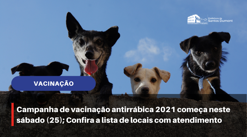 Campanha de vacinação antirrábica 2021 começa neste sábado (25); Confira a lista de locais com atendimento