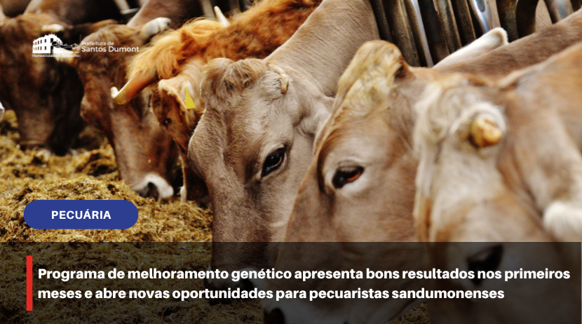 Programa de melhoramento genético apresenta bons resultados nos primeiros meses e abre novas oportunidades para pecuaristas sandumonenses 