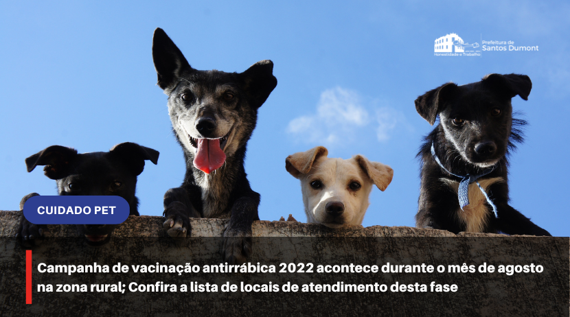 Campanha de vacinação antirrábica 2022 acontece durante o mês de agosto na zona rural; Confira a lista de locais de atendimento desta fase