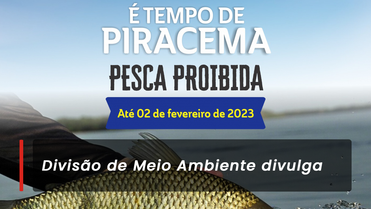 Informativo 13ª Cia PM de Meio Ambiente