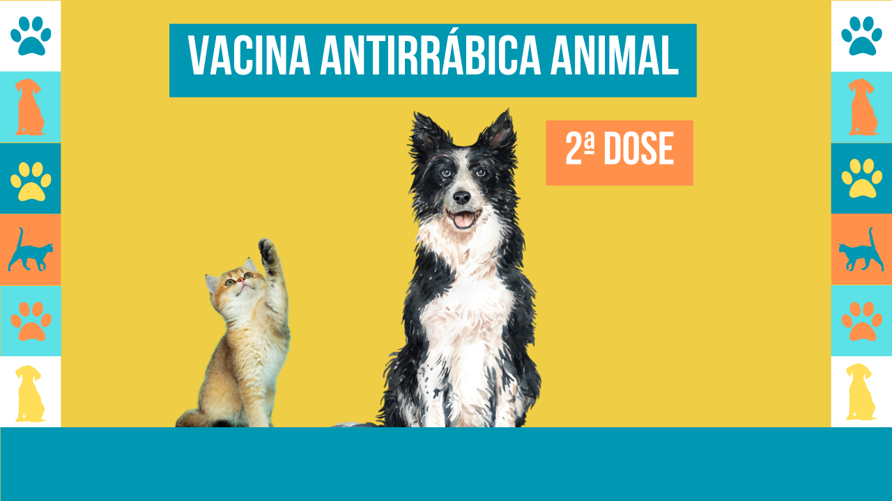 Campanha 2ª dose de vacinação antirrábica animal