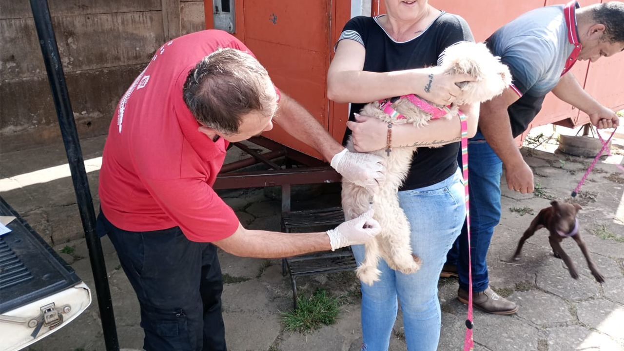 Dia 3 e 4/10  Campanha de Vacinação Antirrábica Animal  2ª DOSE. Leve seu bichinho de estimação!