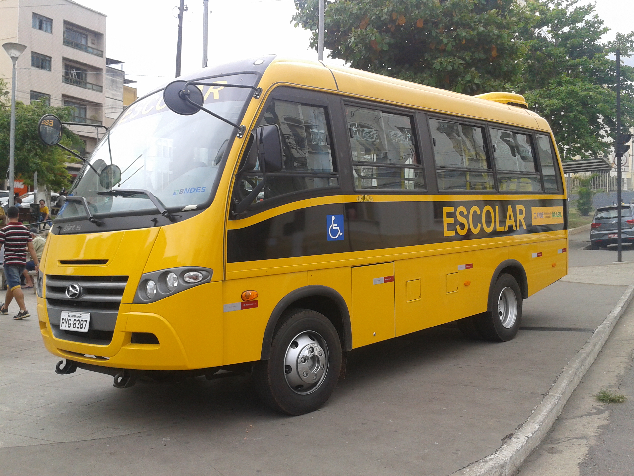 Transporte Escolar com Ônibus Novo