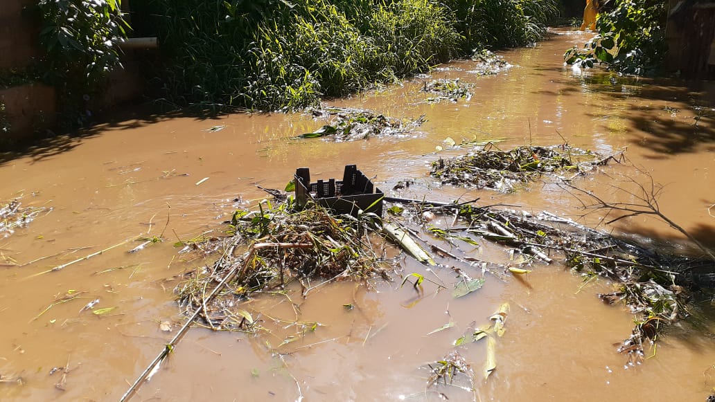 Prefeitura continua limpeza do rio